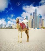 Wielbłądy w Dubai.jpg