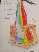 4.MILTA PLUS.jpg