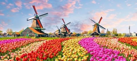 Amsterdam3x.jpg